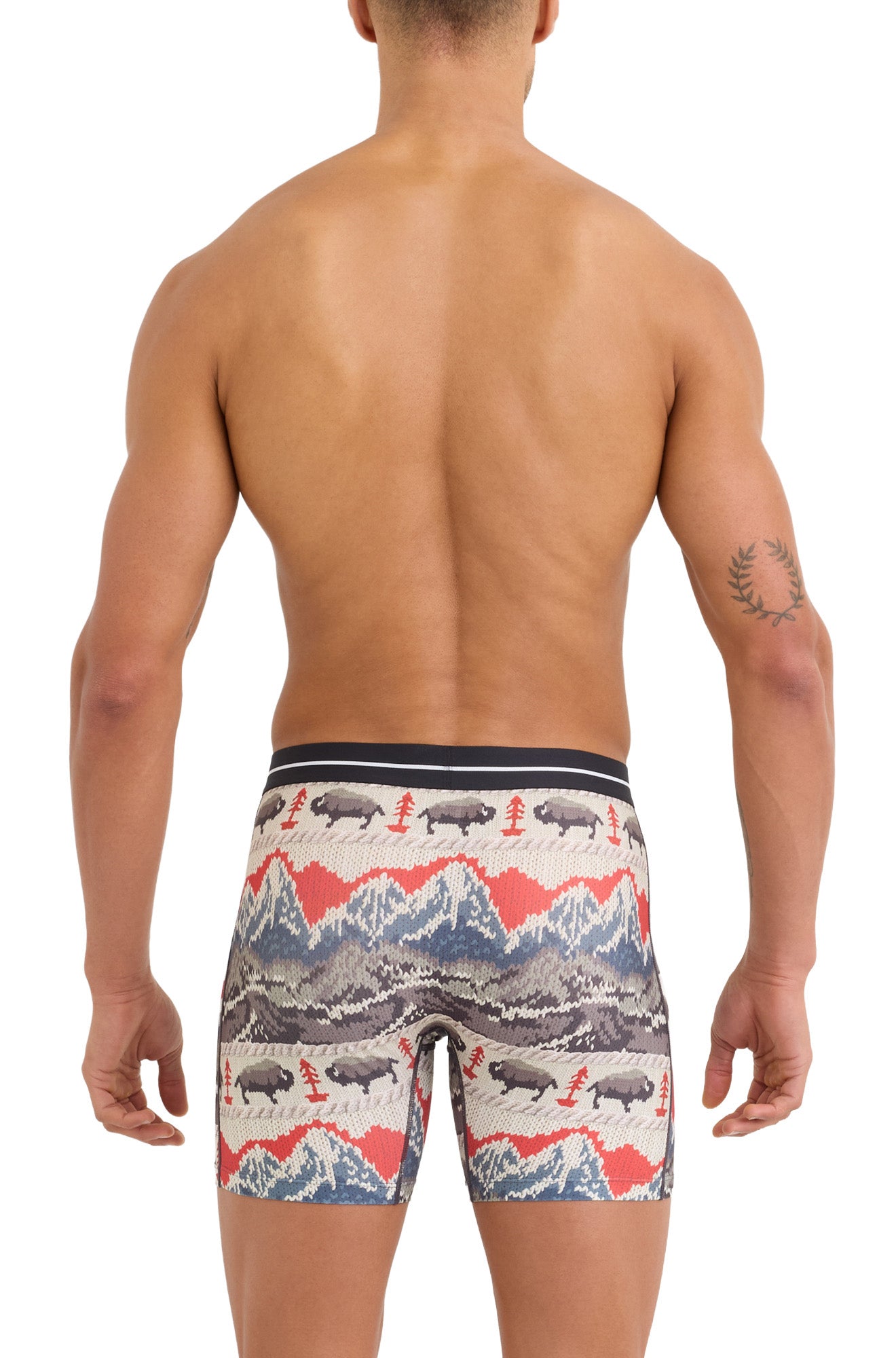 Saxx men's multicolor boxer briefs with tree print, bison and mountain shown from the back