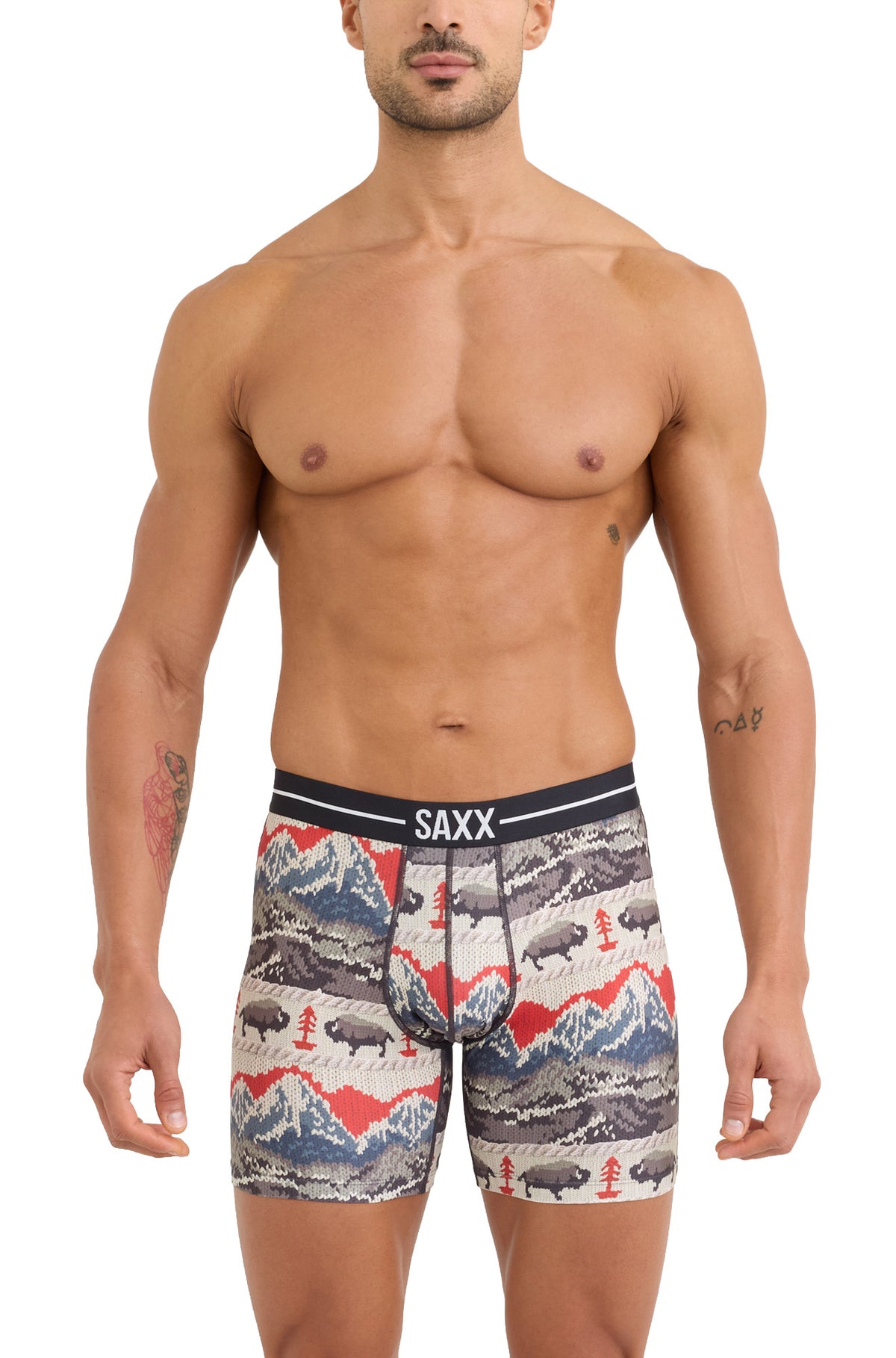 Vue de face sur mannequin du sous-vêtement multicolore à motif montagnes et bisons pour homme par Saxx
