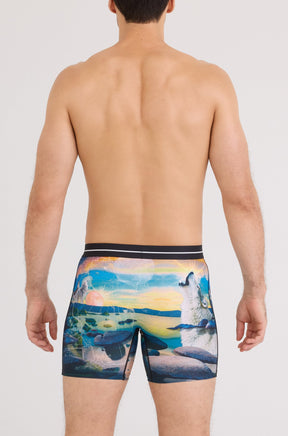 Boxer pour homme par Saxx | SXBB85 Tahoe Multicolore | Machemise.ca, vêtements mode pour hommes